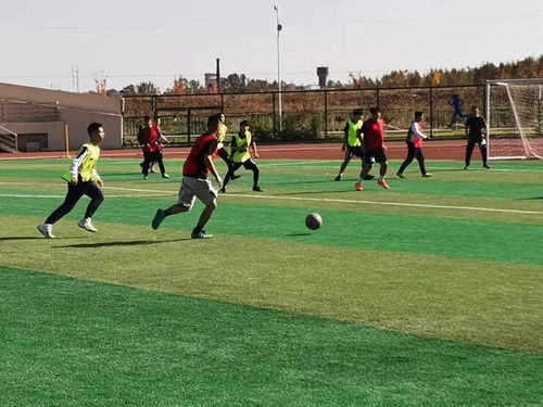 战报 哈尔滨金融学院2020年度 阳光体育 系列活动 足球比赛